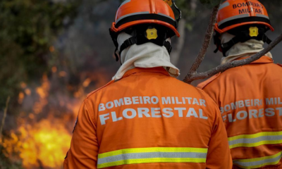 Corpo de Bombeiros extingue dois incndios florestais e combate 24 neste domingo (24)