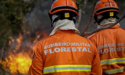 Corpo de Bombeiros combate 21 inc�ndios florestais nesta quinta-feira (28)
