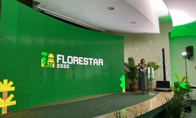Evento re�ne setor florestal em Mato Grosso e refor�a potencial do estado como polo do segmento