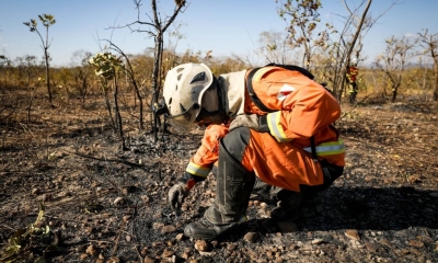 Em 10 dias de operação, equipes aplicam R$ 78 milhões em multas por crimes ambientais no Norte de MT