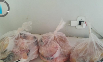 Sema e PM apreendem 6,8kg de cachara descaracterizada em Gaúcha do Norte