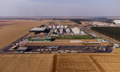 MT registra nova alta na previs�o do PIB de 2025 e permanece l�der em crescimento econ�mico do pa�s