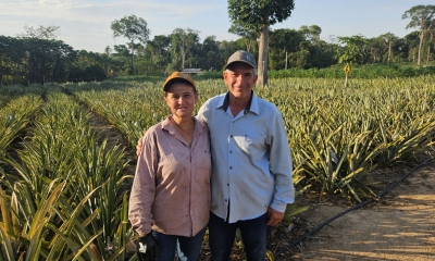 Casal deixa vida urbana e transforma chcara em modelo de produo agroecolgica com apoio da Seaf e Empaer