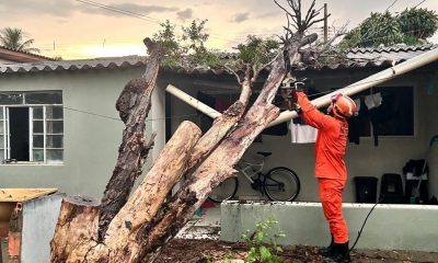 Corpo de Bombeiros remove rvore que caiu sobre residncia aps forte chuva em Primavera do Leste
