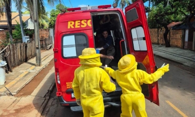 Corpo de Bombeiros socorre homem que foi atacado por enxame de abelhas