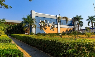 Governo de MT vai mostrar como aliar produo de alimentos e preservao ambiental na COP 30