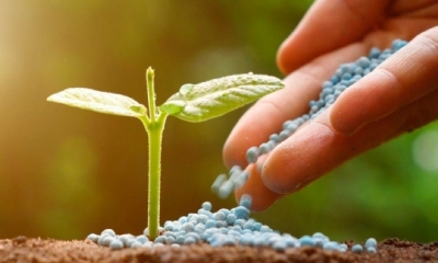 Brasil aposta na retomada industrial para cortar dependncia externa de fertilizantes