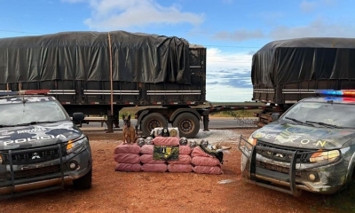 Pol�cia apreende mais de 400 kg de skank escondidos em carreta