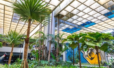 Governo de MT fortalece microcervejarias e reduz ICMS na cadeia do p�o franc�s