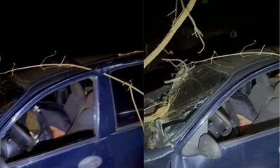 Pai morre e filho fica ferido ap�s bater Celta contra �rvore na MT-250