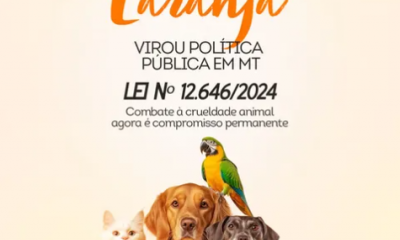 Lei de autoria de Max Russi fortalece campanha Abril Laranja contra maus-tratos aos animais em MT