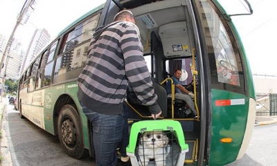 Ager-MT pro�be cobran�as extras e padroniza transporte de pets em �nibus intermunicipais
