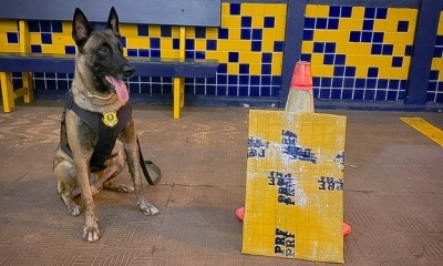 PRF apreende mais de 3 kg de pasta base de coca�na em �nibus interestadual na BR-364 em Rondon�polis