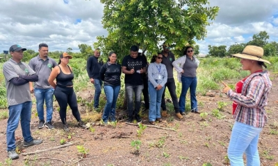 Cursos técnicos em agronegócio ampliam oportunidades de qualificação em Mato Grosso