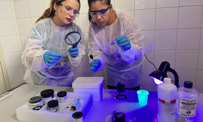  Politec identifica vtima carbonizada em acidente na BR-070 e corpos encontrados em Vrzea Grande