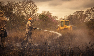 Parceria vai viabilizar uso de maquin�rio pesado na preven��o e combate a inc�ndios florestais em MT