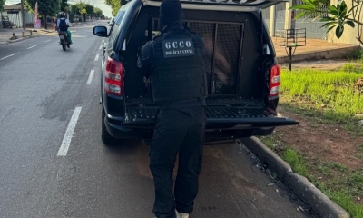 Pol�cia Civil cumpre mandados em investiga��es de furto de defensivos e com�rcio ilegal de armas para fac��es