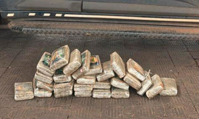 Operao policial apreende 26 tabletes de skunk em Rondonpolis