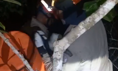 Aeronave cai em mata fechada de Rondonpolis e buscas so feitas para encontrar piloto