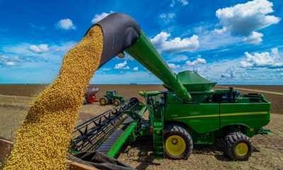 Safra 2024/25 de soja em MT atinge volume hist�rico e ultrapassa 50 milh�es de toneladas