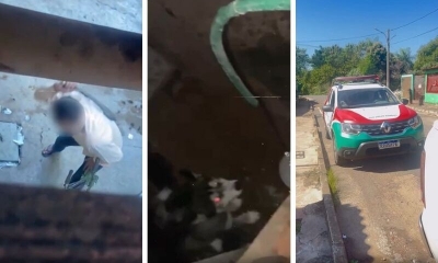 Cachorro v�tima de maus-tratos � resgatado em V�rzea Grande ap�s den�ncia de vizinhos