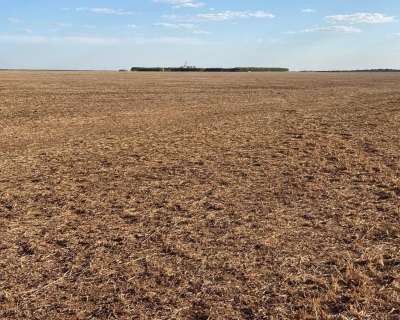 Indea realiza mais duas mil fiscaliza��es e aplica 12 multas no primeiro m�s do vazio sanit�rio da soja