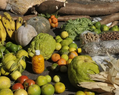 BNDES destina R$ 70 bilh�es ao Plano Safra, maior volume j� liberado pelo banco