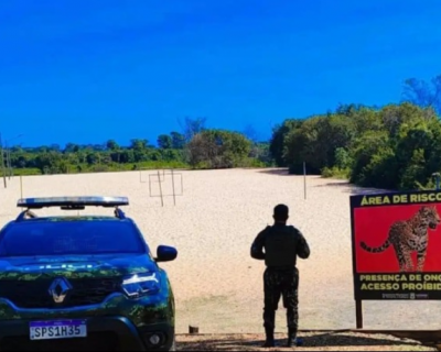 Polcia Ambiental interdita praia de Cceres aps registro de ona na regio
