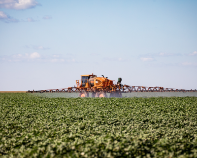 Mato Grosso puxa alta na estimativa de produ��o agr�cola e consolida lideran�a nacional