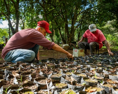 SEAF apoia pesquisa internacional sobre fungo que causa doena em trabalhadores rurais