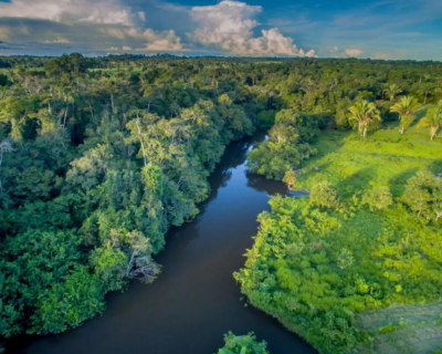 AMAZONAS DEVE ENFRENTAR SECA MAIS SEVERA EM 2024