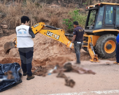 Corpo � encontrado enterrado em �rea rural de Rondon�polis