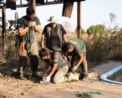 Sema inicia cadastro de volunt�rios para resgate e manejo de animais silvestres em unidades de conserva��o