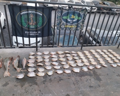 Mais de 20 quilos de pescado irregular s�o apreendidos pelo Batalh�o Ambiental