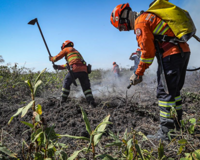 Bombeiros extinguem 4 inc�ndios florestais e combatem outros 5 neste s�bado (2)