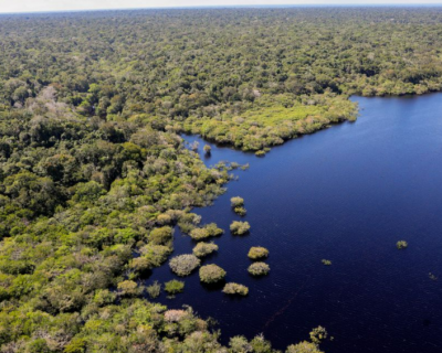 Uni�o Europeia far� doa��o de R$ 120 milh�es ao Fundo Amaz�nia