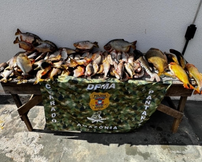 Apreens�o de pescado pela Dema cresce 570% nos primeiros 6 meses de 2025