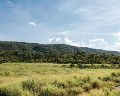 Sema firma mais de 500 acordos para recupera��o de �reas degradadas no primeiro semestre