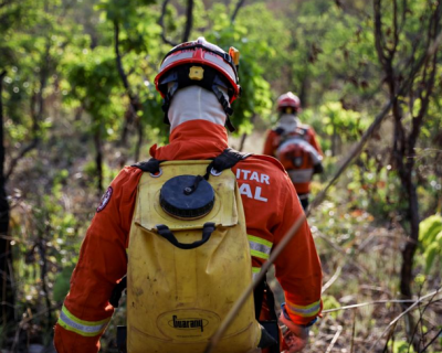 Corpo de Bombeiros extingue 2 inc�ndios florestais e combate 3 neste domingo (10)