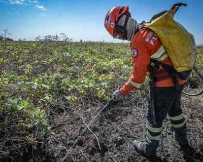 Corpo de Bombeiros combate 7 inc�ndios florestais nesta ter�a-feira (12)
