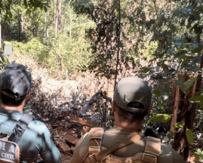 Pol�cia flagra desmatamento em �rea de preserva��o permanente em Mato Grosso