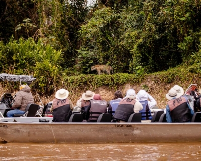 Na frica do Sul, Mato Grosso busca modelo de gesto para fortalecer turismo de safri no Pantanal