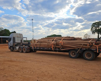 Castanheira apreendida pela Sema em Nova Bandeirantes lota dois caminh�es
