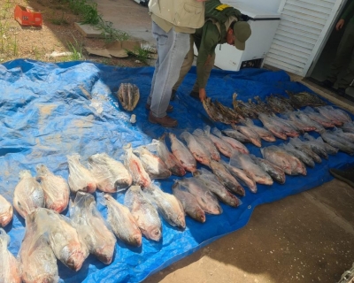 Opera��o contra esquema de comercializa��o ilegal de pescado na Feira do Porto resulta em R$400 mil em multa