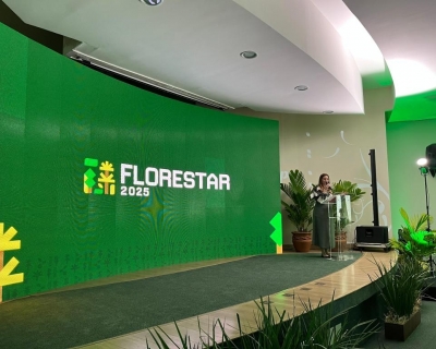 Evento re�ne setor florestal em Mato Grosso e refor�a potencial do estado como polo do segmento