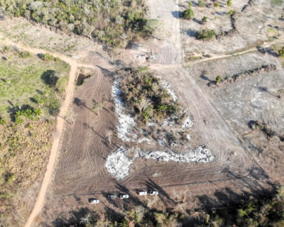 Opera��o integrada identifica queimada ilegal no Pantanal; infrator � multado