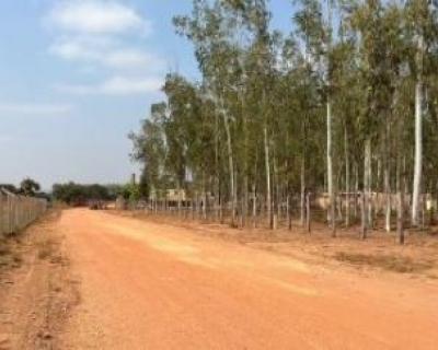 Trabalhador morre triturado por mquina em fbrica de VG