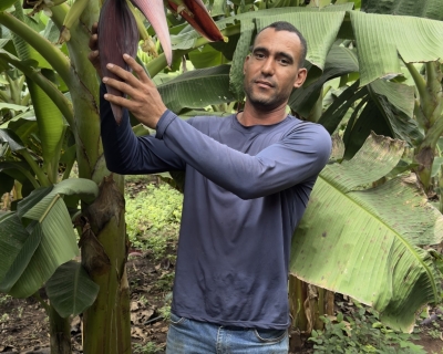  Pequenos agricultores podem receber at R$ 28 mil por aes que preservem floresta amaznica