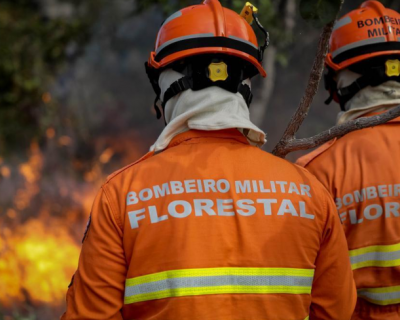 Corpo de Bombeiros combate 41 inc�ndios florestais neste s�bado (6)