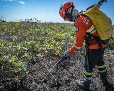 Corpo de Bombeiros combate 38 inc�ndios florestais neste domingo (7)